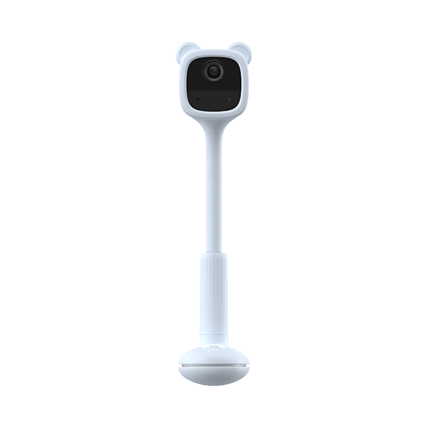 BM1 EZVIZ