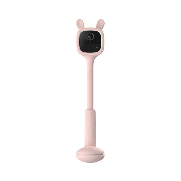 BM1 EZVIZ